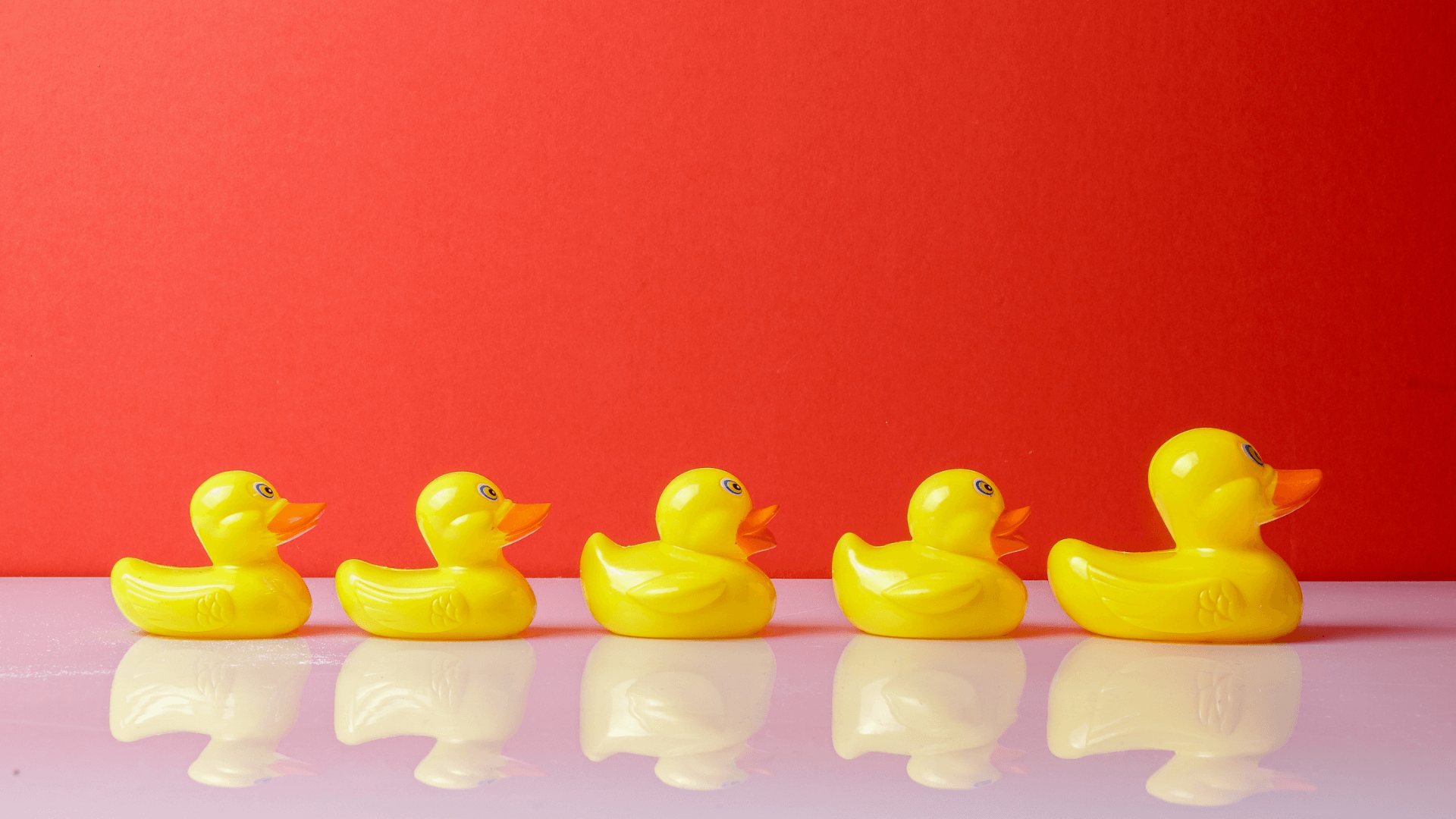 Business English Idiom - Get Your Ducks in a Row